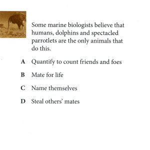 Humans, dolphins, and spectacled parrotlets